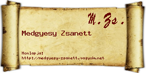 Medgyesy Zsanett névjegykártya