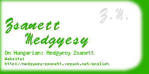 zsanett medgyesy business card